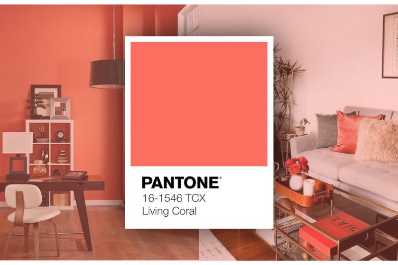 Pantone Colour of the Year 2019