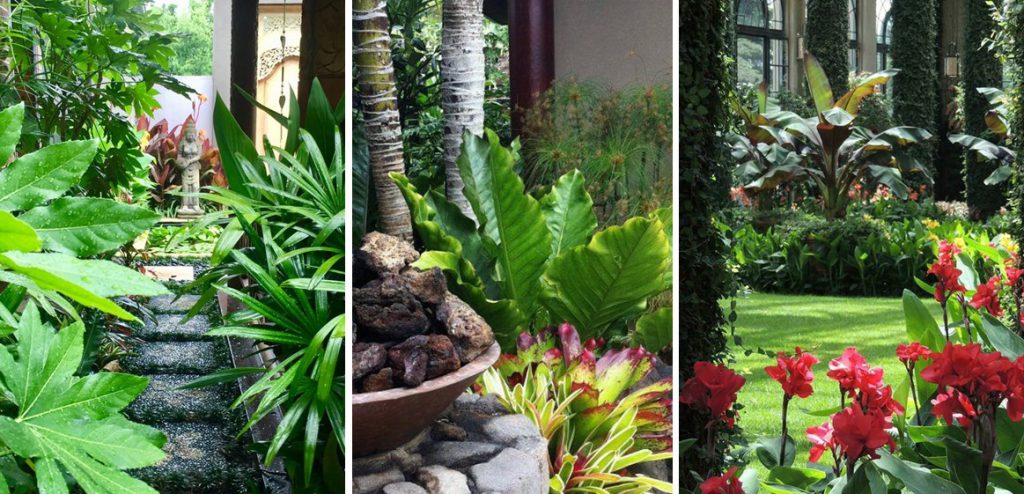 Tropical garden landscaping ideas